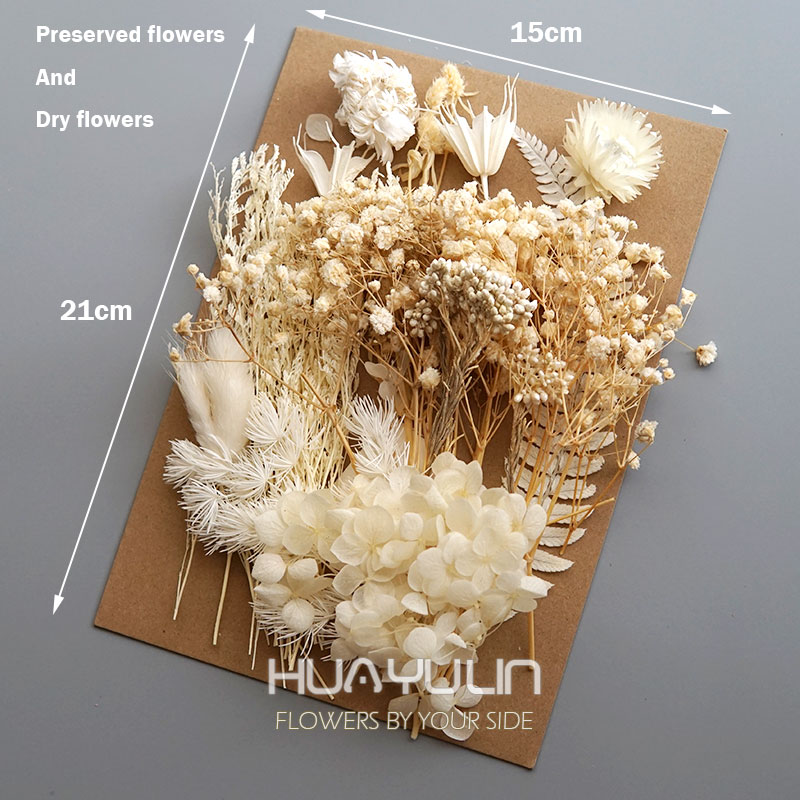 1 Pack Artificial Plants Dried - Baby Products Set ulasan dan harga